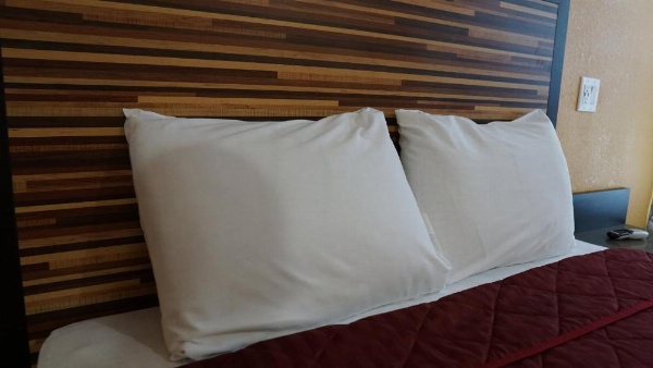 Holly Crest Hotel - Los Angeles, LAX Airport image 19